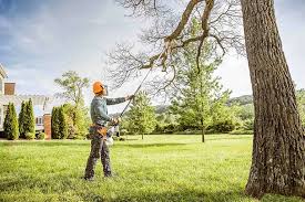 Best Organic Lawn Care Solutions  in Sapulpa, OK