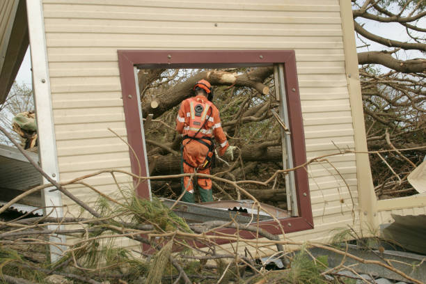 Reliable Sapulpa, OK Tree Services Solutions