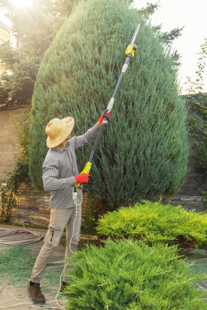 Best Lawn Fertilization  in Sapulpa, OK